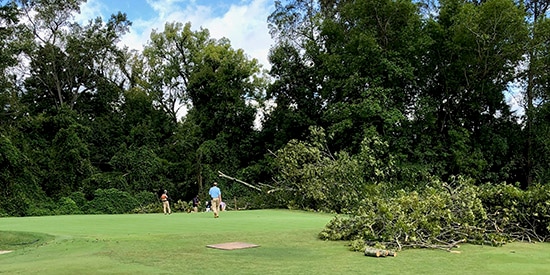 A downed tree on No. 6 green at Charlotte CC (Photo courtesy Charlotte CC)