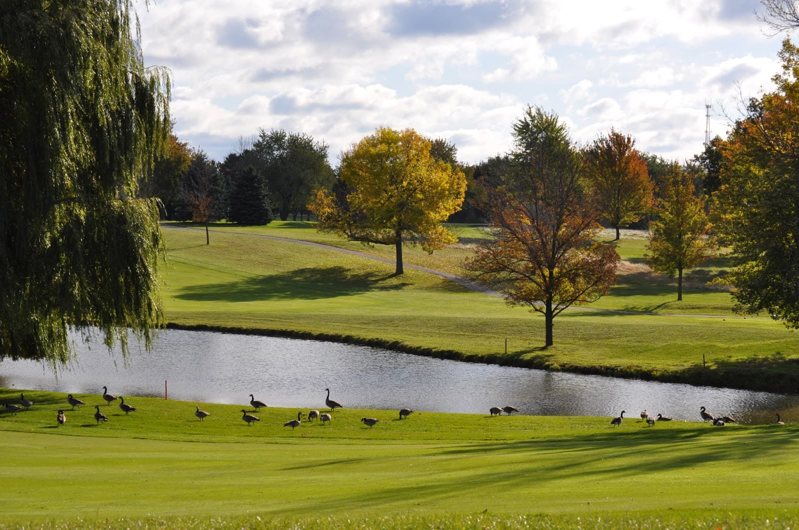 Clio Golf Course — Michigan Senior Net Amateur Championship