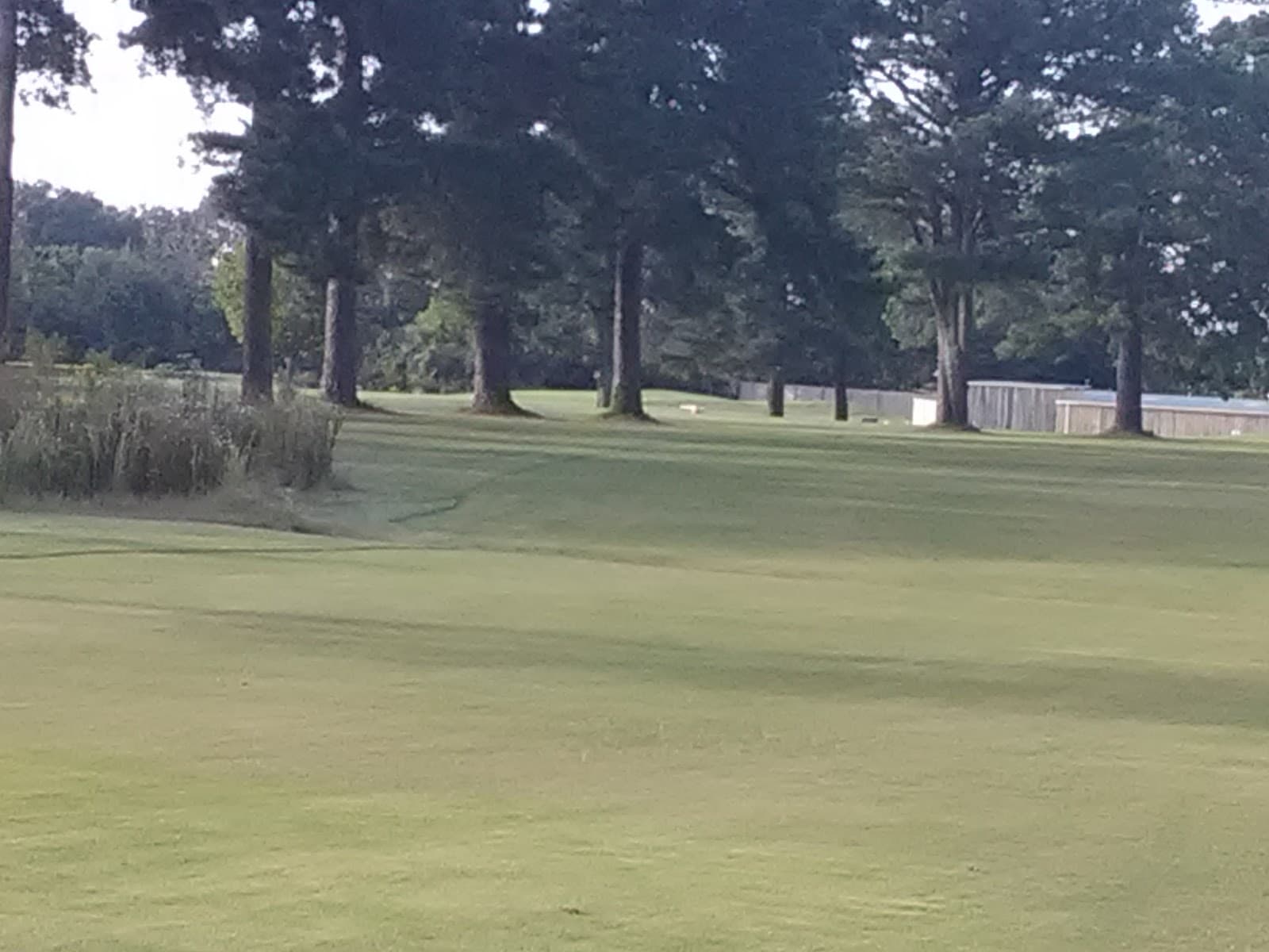 Grenada Country Club — Grenada Invitational