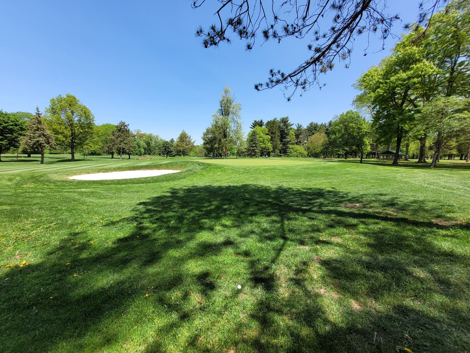 J. Edward Good Park Golf Course — Summit County Senior Amateur Championship