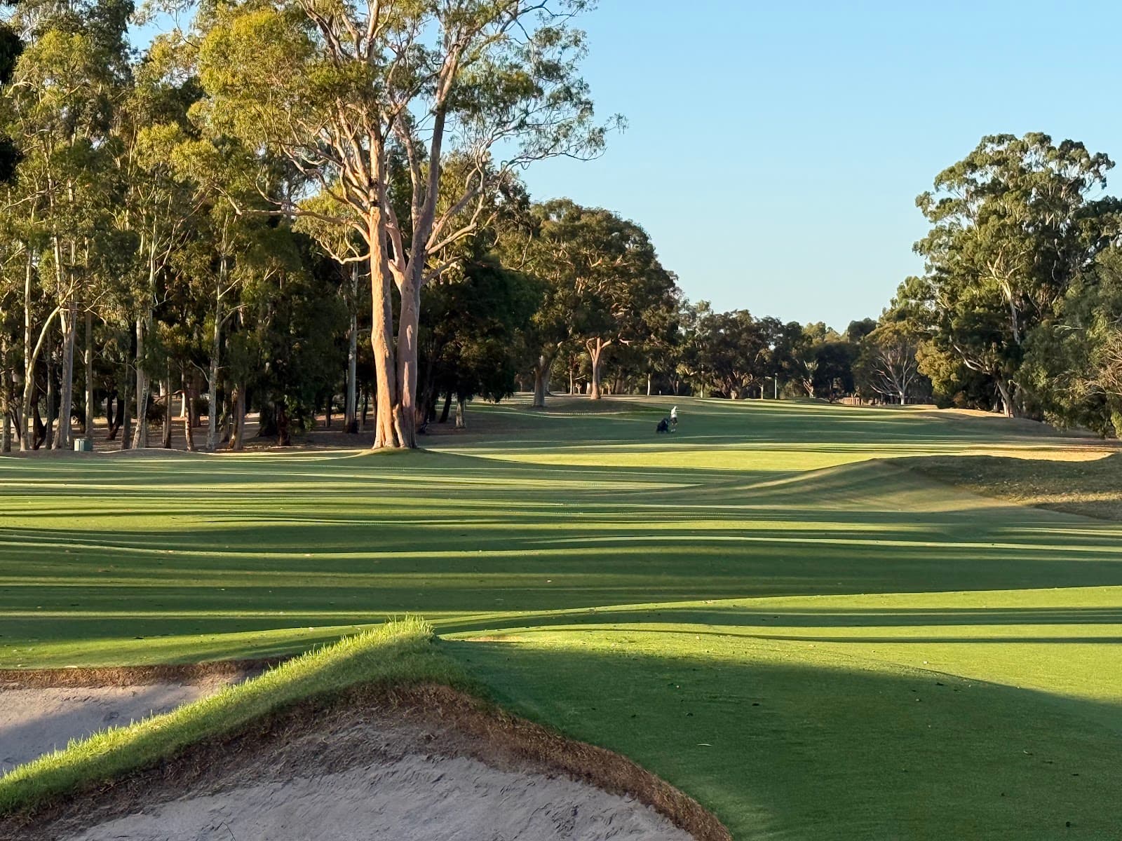 Southern Golf Club — Australian Master of the Amateurs