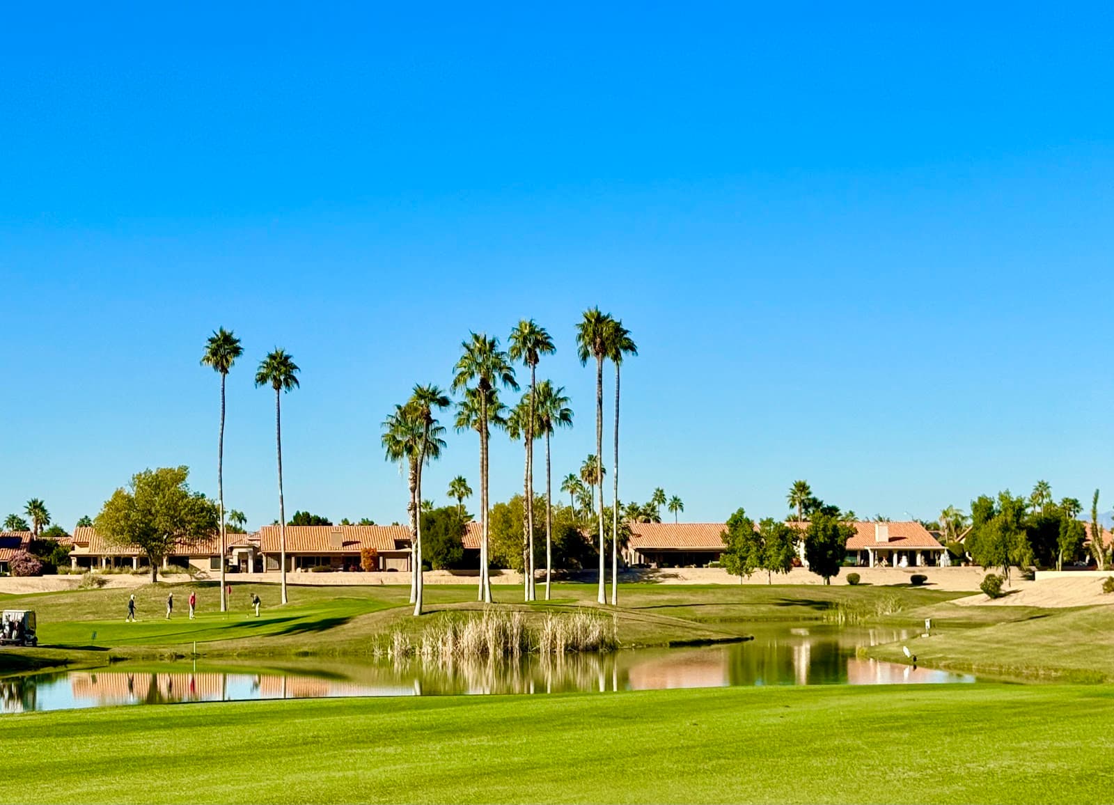 Westbrook Village Golf Club — Westbrook Invitational