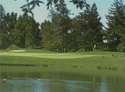 Foxtail Golf Club - North Course