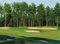Pinewild Country Club - Holly Course