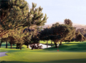 Oaks North Golf Course