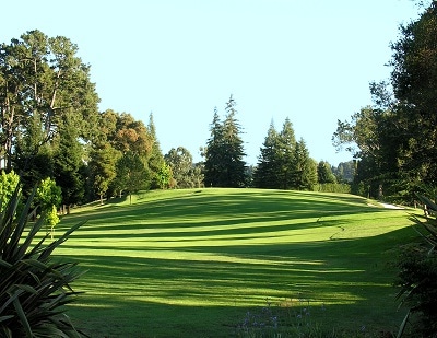 - The flagstick is over the crest of the hill<br>under the tall pines