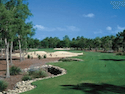 Naples National Golf Club