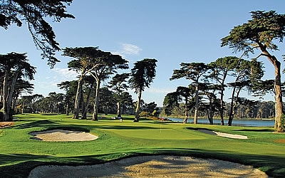 The TPC Harding Park, 16th green <br>Golfweek photo