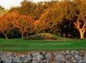 Orange Tree Golf Club