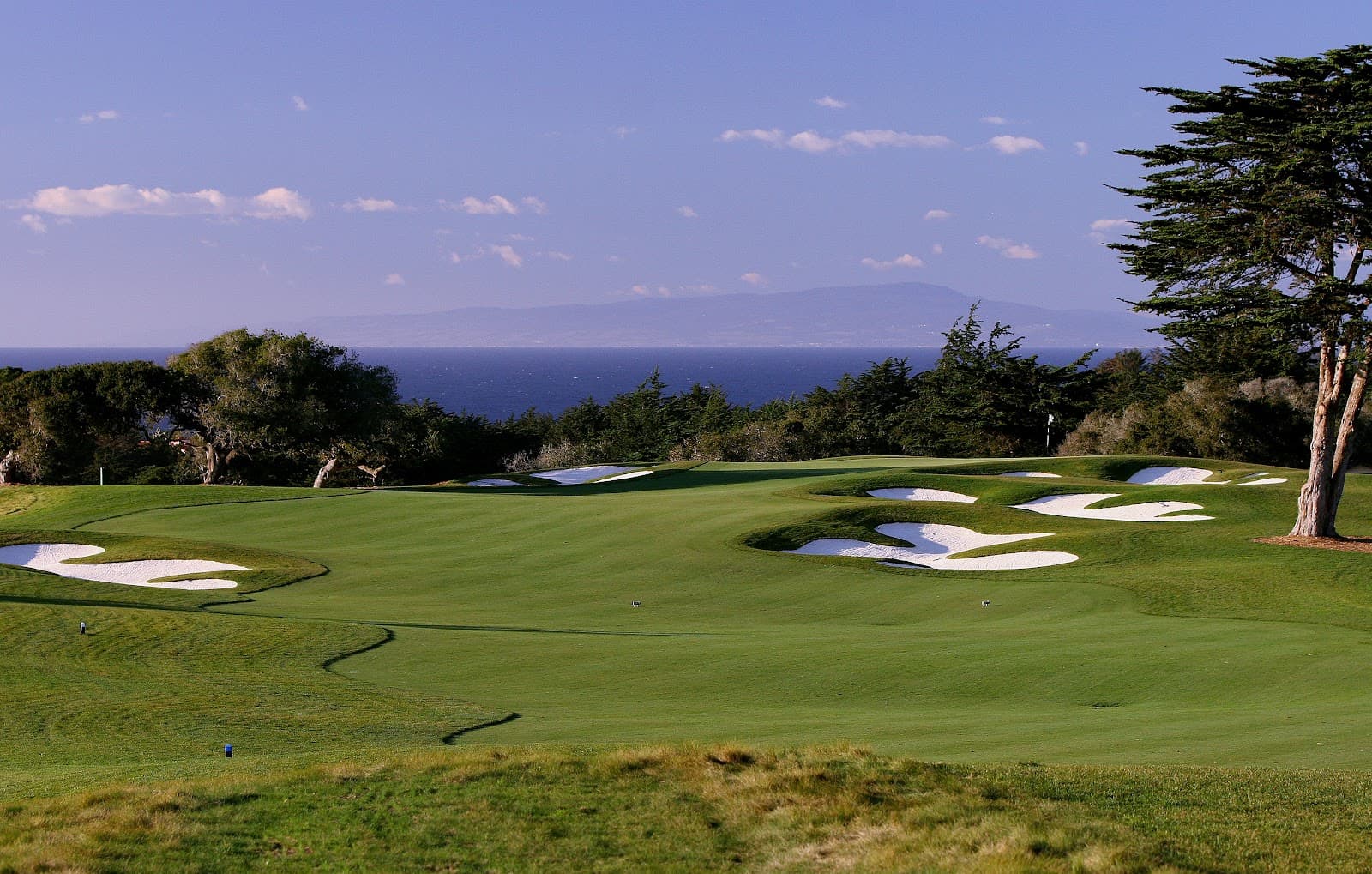 Bayonet Black Horse - Bayonet — Bayonet Black Horse Amateur Championship