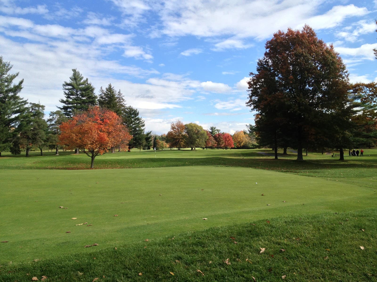Brook-Lea Country Club — Rochester District Senior Championship