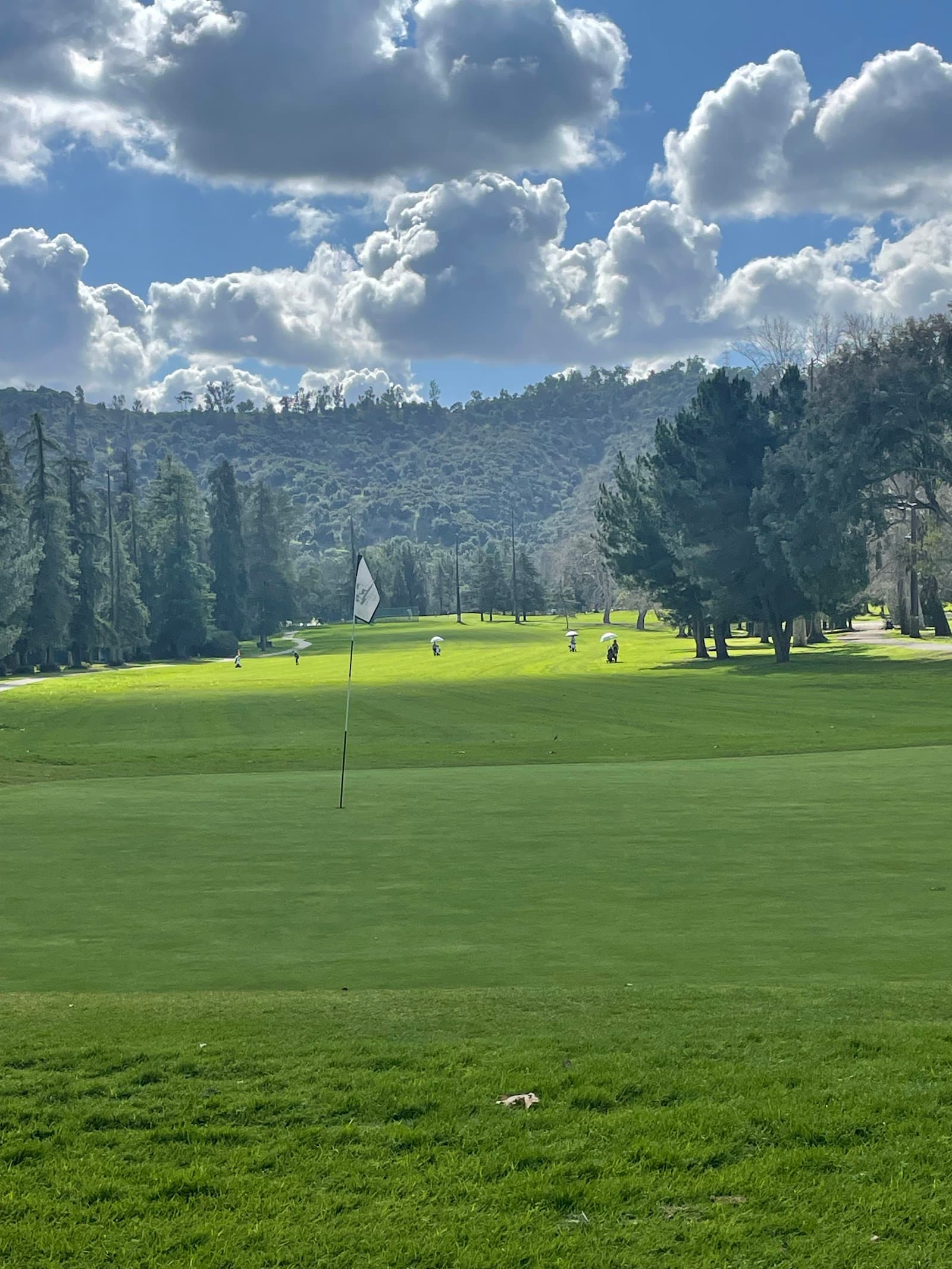 Griffith Park Golf Course - Wilson Course — Los Angeles City Women's Championship