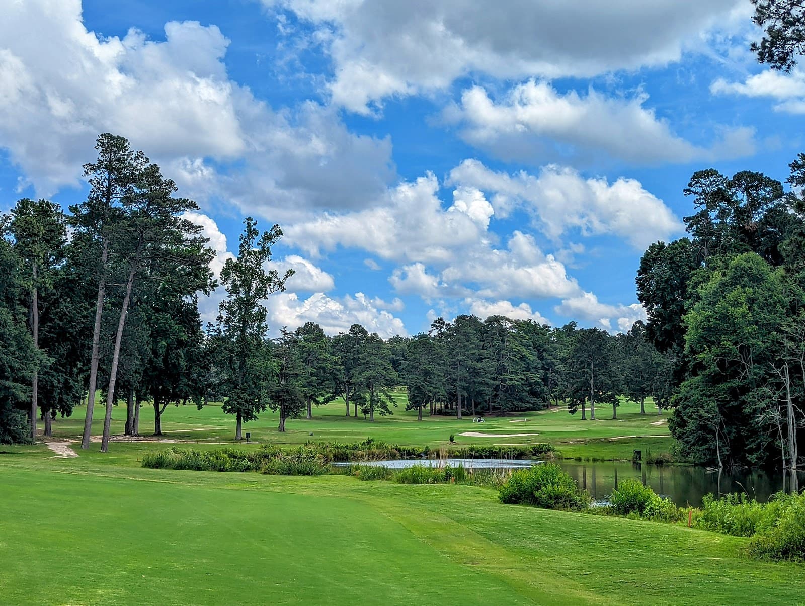 Palmetto Golf Club — Palmetto Amateur