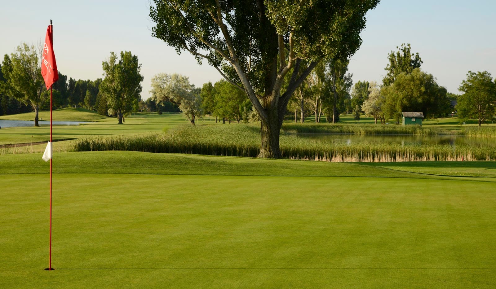 The Fox Hill Club — Colorado Senior Amateur Championship