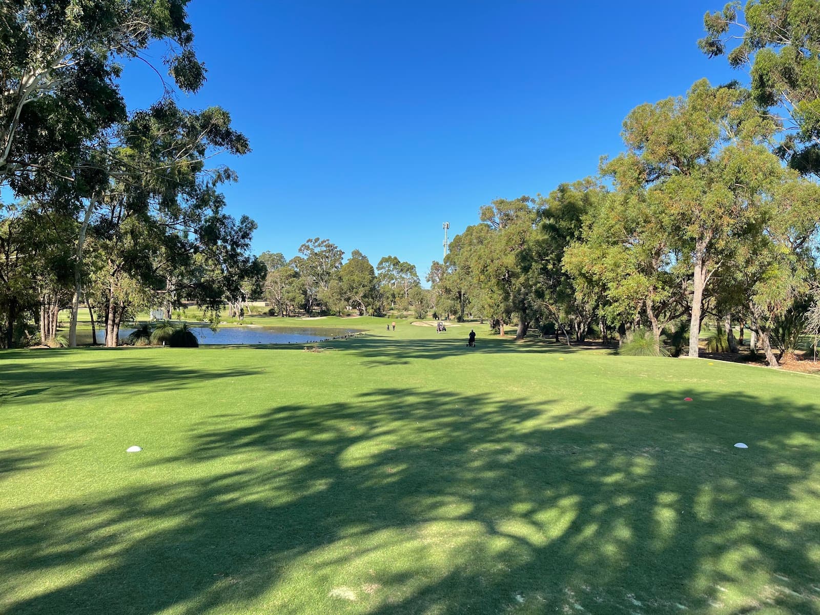 Wanneroo Golf Club — Australian Womens Amateur Golf Championship