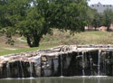 Split Rail Golf Club