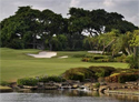 Boca Raton Resort and Club - Country Club