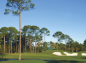 Sandestin Resort and Club - Baytowne Course